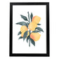 Lámina Botánica acuarela 5. Pósters con ilustraciones de plantas y flores en estilo acuarela.-Artwork-Nacnic-A3-Marco Negro-Nacnic Estudio SL