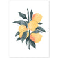 Lámina Botánica acuarela 5. Pósters con ilustraciones de plantas y flores en estilo acuarela.-Artwork-Nacnic-A4-Sin marco-Nacnic Estudio SL