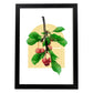 Lámina Botánica acuarela 6. Pósters con ilustraciones de plantas y flores en estilo acuarela.-Artwork-Nacnic-A4-Marco Negro-Nacnic Estudio SL