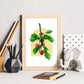 Lámina Botánica acuarela 6. Pósters con ilustraciones de plantas y flores en estilo acuarela.-Artwork-Nacnic-Nacnic Estudio SL