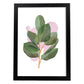 Lámina Botánica acuarela 8. Pósters con ilustraciones de plantas y flores en estilo acuarela.-Artwork-Nacnic-A4-Marco Negro-Nacnic Estudio SL