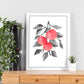 Lámina Botánica acuarela 9. Pósters con ilustraciones de plantas y flores en estilo acuarela.-Artwork-Nacnic-Nacnic Estudio SL