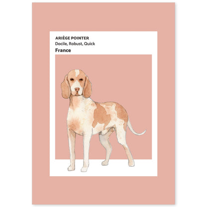 Lámina Braco de Ariège. Pósters con ilustraciones de razas de perro en tonos cálidos y pastel.-Artwork-Nacnic-A4-Sin marco-Nacnic Estudio SL