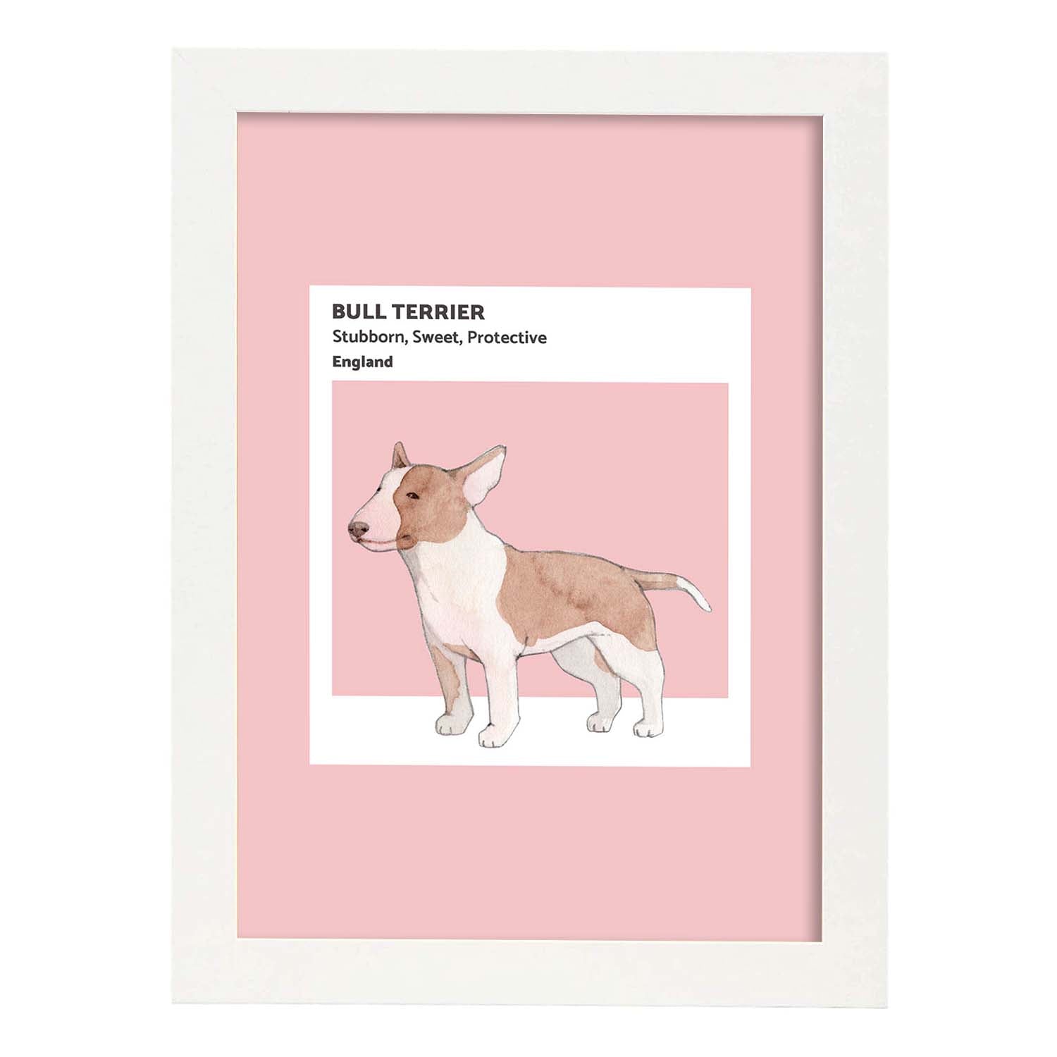 Lámina Bull-Terrier. Pósters con ilustraciones de razas de perro en tonos cálidos y pastel.-Artwork-Nacnic-A3-Marco Blanco-Nacnic Estudio SL