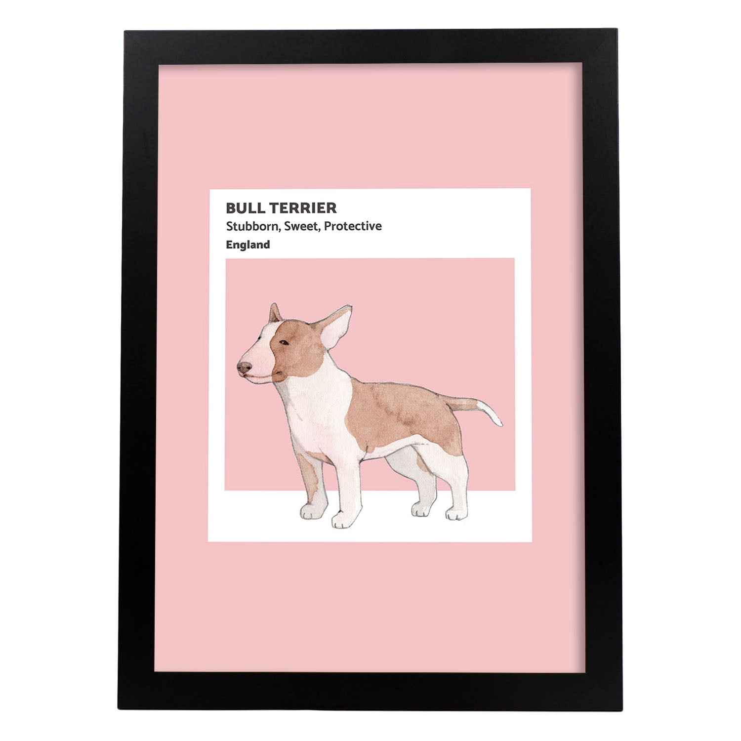 Lámina Bull-Terrier. Pósters con ilustraciones de razas de perro en tonos cálidos y pastel.-Artwork-Nacnic-A3-Marco Negro-Nacnic Estudio SL