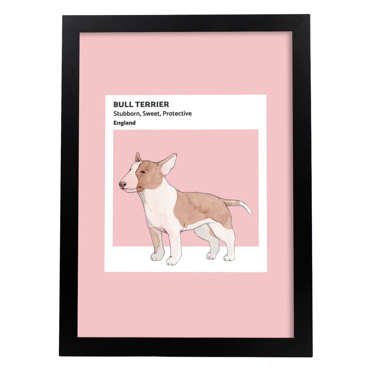 Lámina Bull-Terrier. Pósters con ilustraciones de razas de perro en tonos cálidos y pastel.-Artwork-Nacnic-A4-Marco Negro-Nacnic Estudio SL
