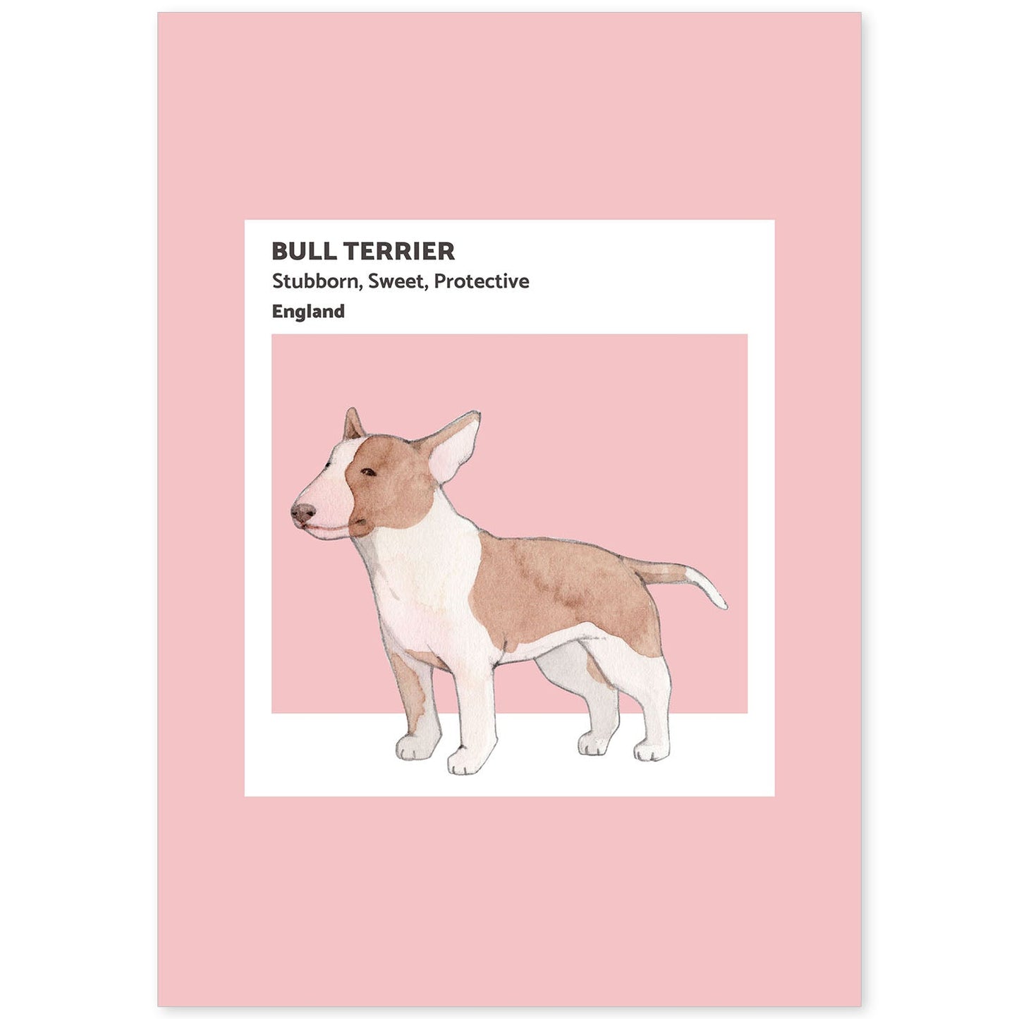 Lámina Bull-Terrier. Pósters con ilustraciones de razas de perro en tonos cálidos y pastel.-Artwork-Nacnic-A4-Sin marco-Nacnic Estudio SL