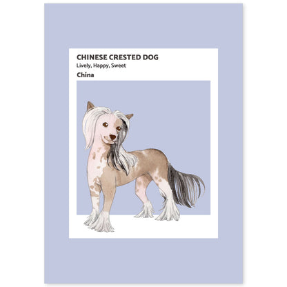 Lámina Crestado chino. Pósters con ilustraciones de razas de perro en tonos cálidos y pastel.-Artwork-Nacnic-A4-Sin marco-Nacnic Estudio SL