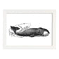 Lámina de Ballena. Posters con animales en blanco y negro.-Artwork-Nacnic-A3-Marco Blanco-Nacnic Estudio SL