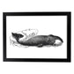 Lámina de Ballena. Posters con animales en blanco y negro.-Artwork-Nacnic-A3-Marco Negro-Nacnic Estudio SL