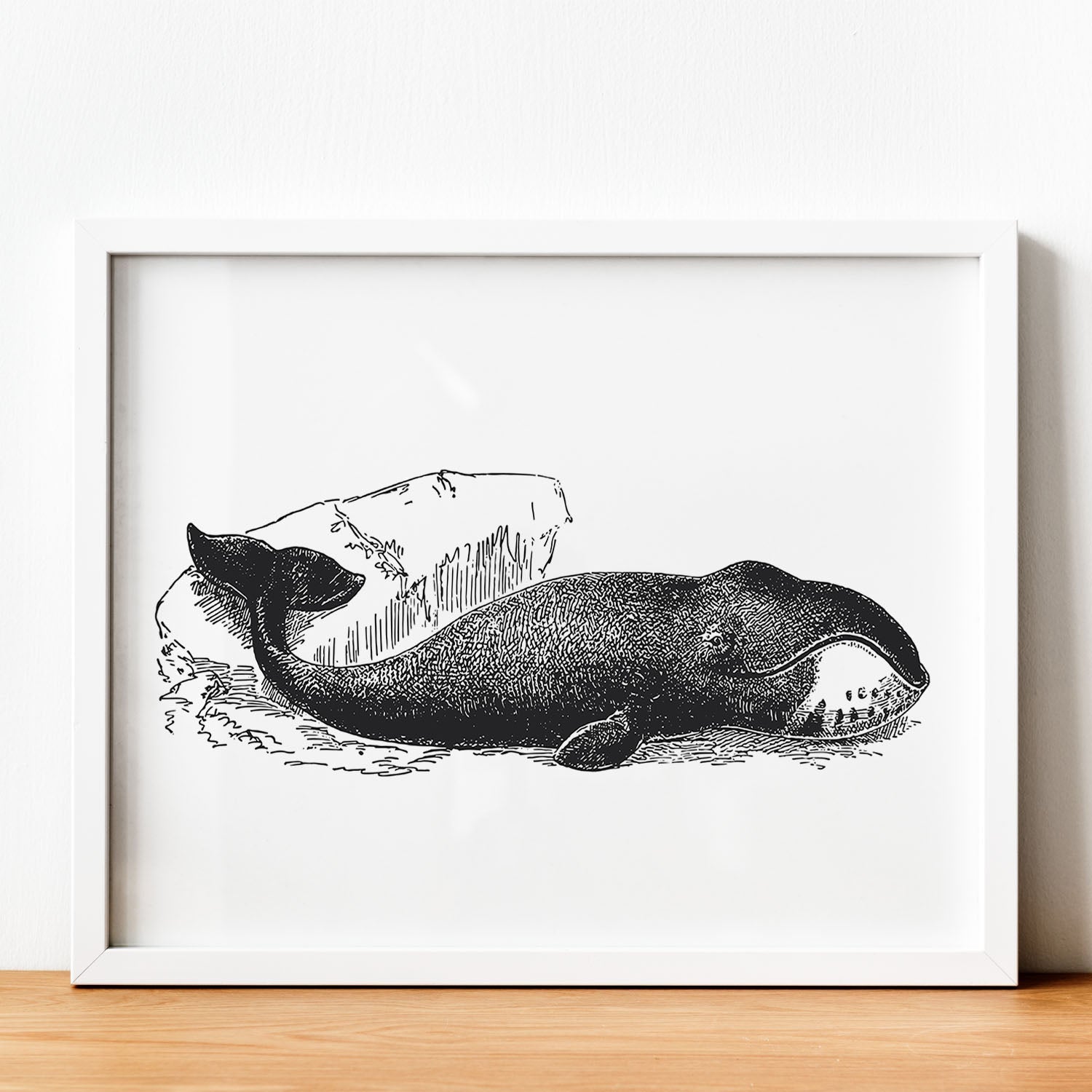 Lámina de Ballena. Posters con animales en blanco y negro.-Artwork-Nacnic-Nacnic Estudio SL