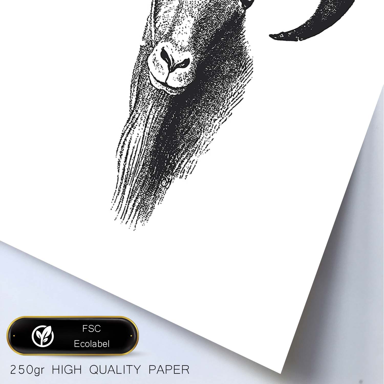 Lámina de Cabra montesa. Posters con animales en blanco y negro.-Artwork-Nacnic-Nacnic Estudio SL