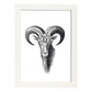 Lámina de Cabra montesa. Posters con animales en blanco y negro.-Artwork-Nacnic-A3-Marco Blanco-Nacnic Estudio SL