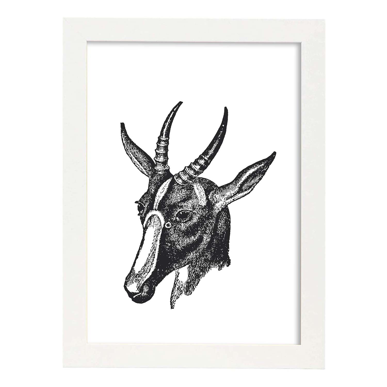 Lámina de Cabra. Posters con animales en blanco y negro.-Artwork-Nacnic-A3-Marco Blanco-Nacnic Estudio SL
