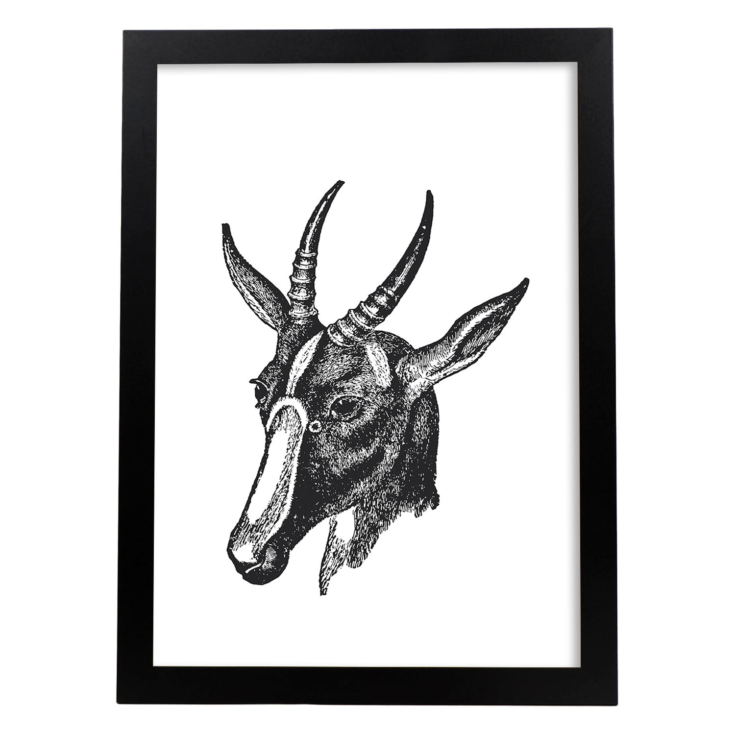 Lámina de Cabra. Posters con animales en blanco y negro.-Artwork-Nacnic-A3-Marco Negro-Nacnic Estudio SL