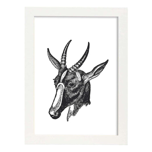 Lámina de Cabra. Posters con animales en blanco y negro.-Artwork-Nacnic-A4-Marco Blanco-Nacnic Estudio SL