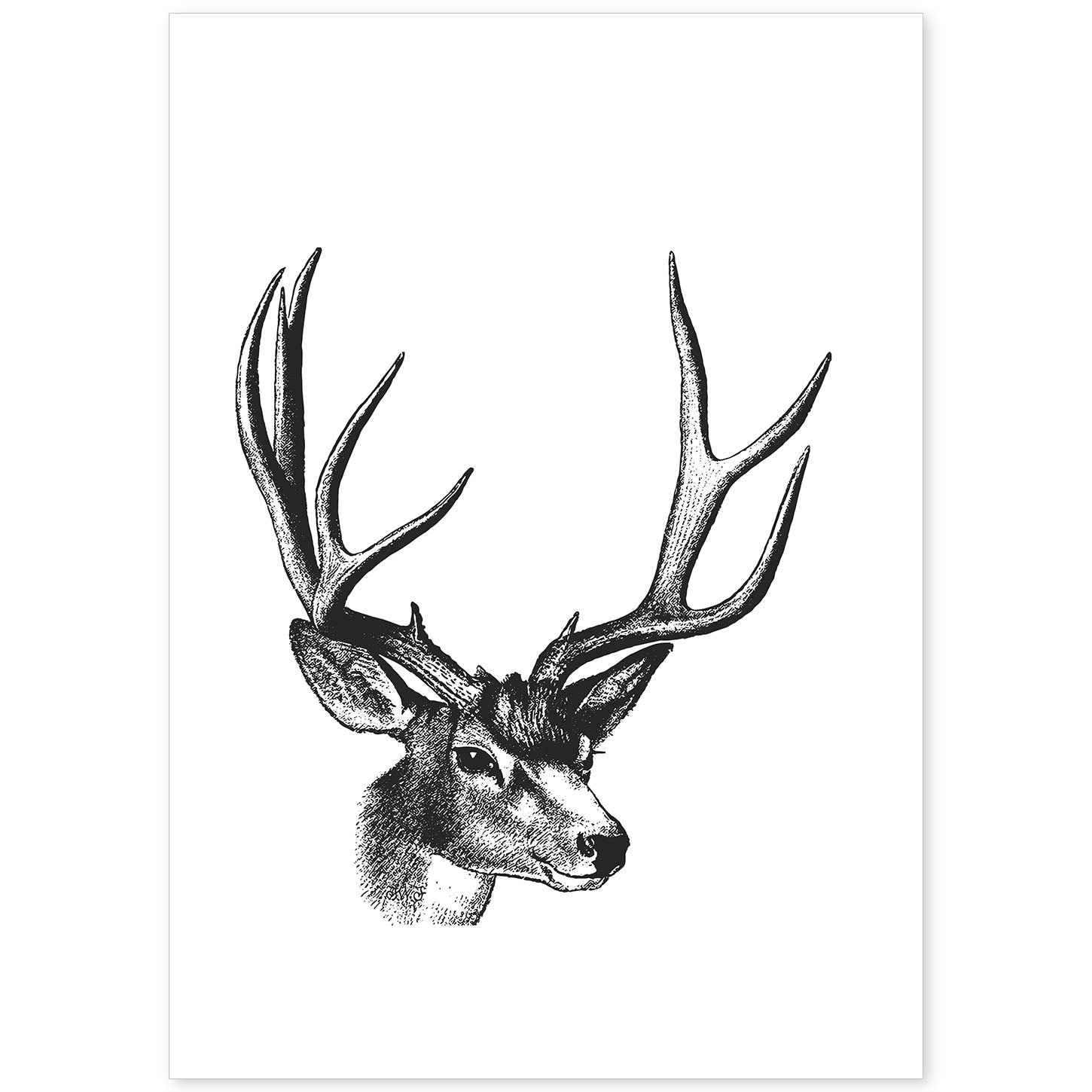 Lámina de Ciervo. Posters con animales en blanco y negro.-Artwork-Nacnic-A4-Sin marco-Nacnic Estudio SL