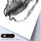 Lámina de Concha de mar. Posters con animales en blanco y negro.-Artwork-Nacnic-Nacnic Estudio SL
