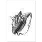 Lámina de Concha de mar. Posters con animales en blanco y negro.-Artwork-Nacnic-A4-Sin marco-Nacnic Estudio SL