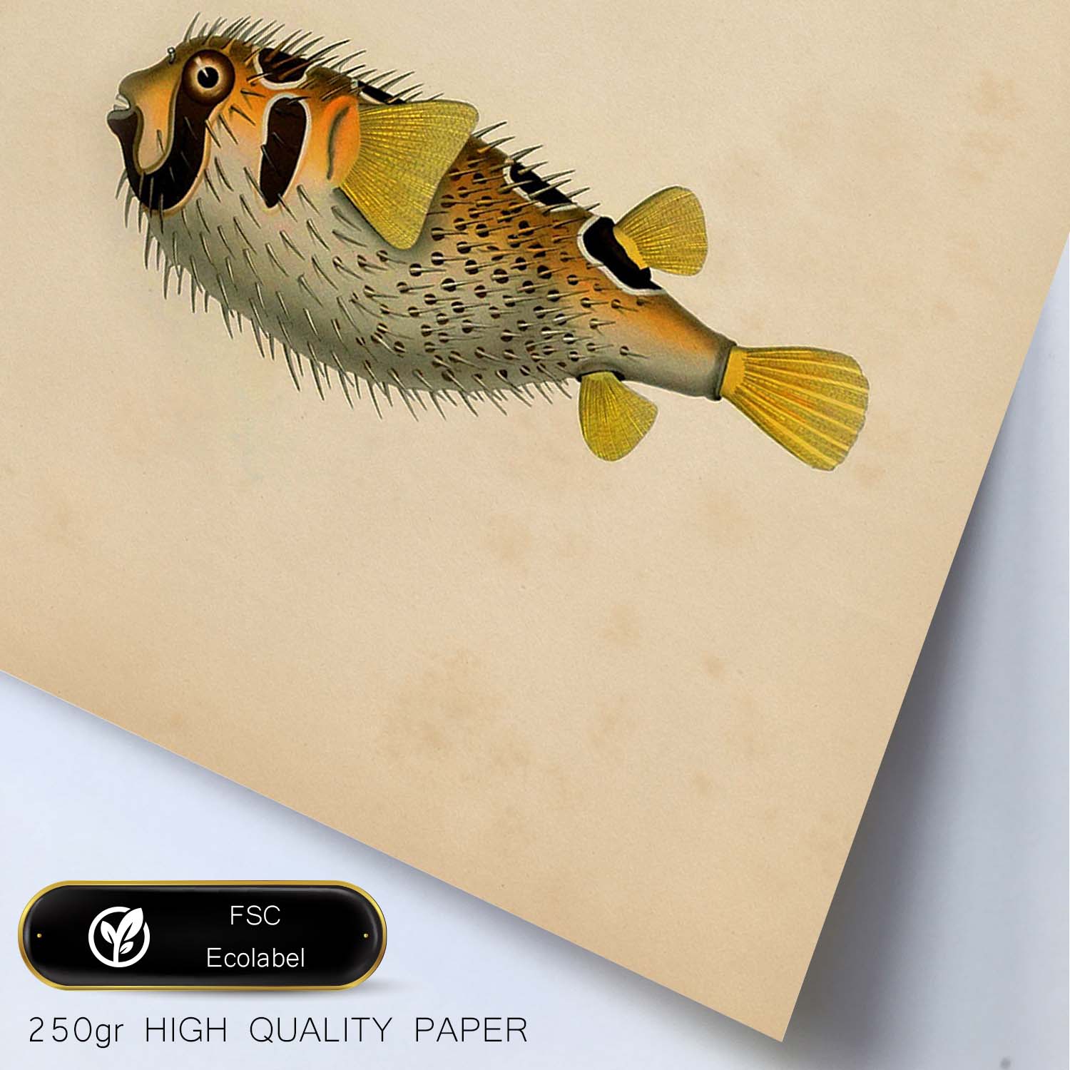 Lámina de dos peces amarillo, verde negro y rojo en , fondo papel vintage.-Artwork-Nacnic-Nacnic Estudio SL
