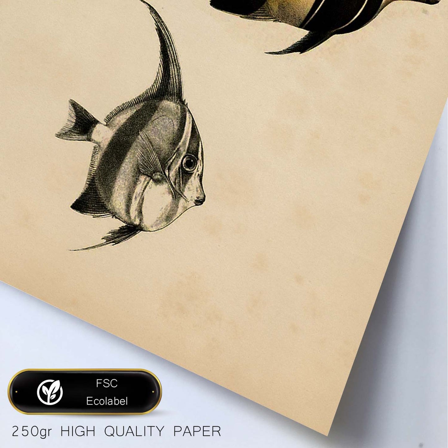 Lámina de dos peces amarillo y negro en , fondo papel vintage.-Artwork-Nacnic-Nacnic Estudio SL