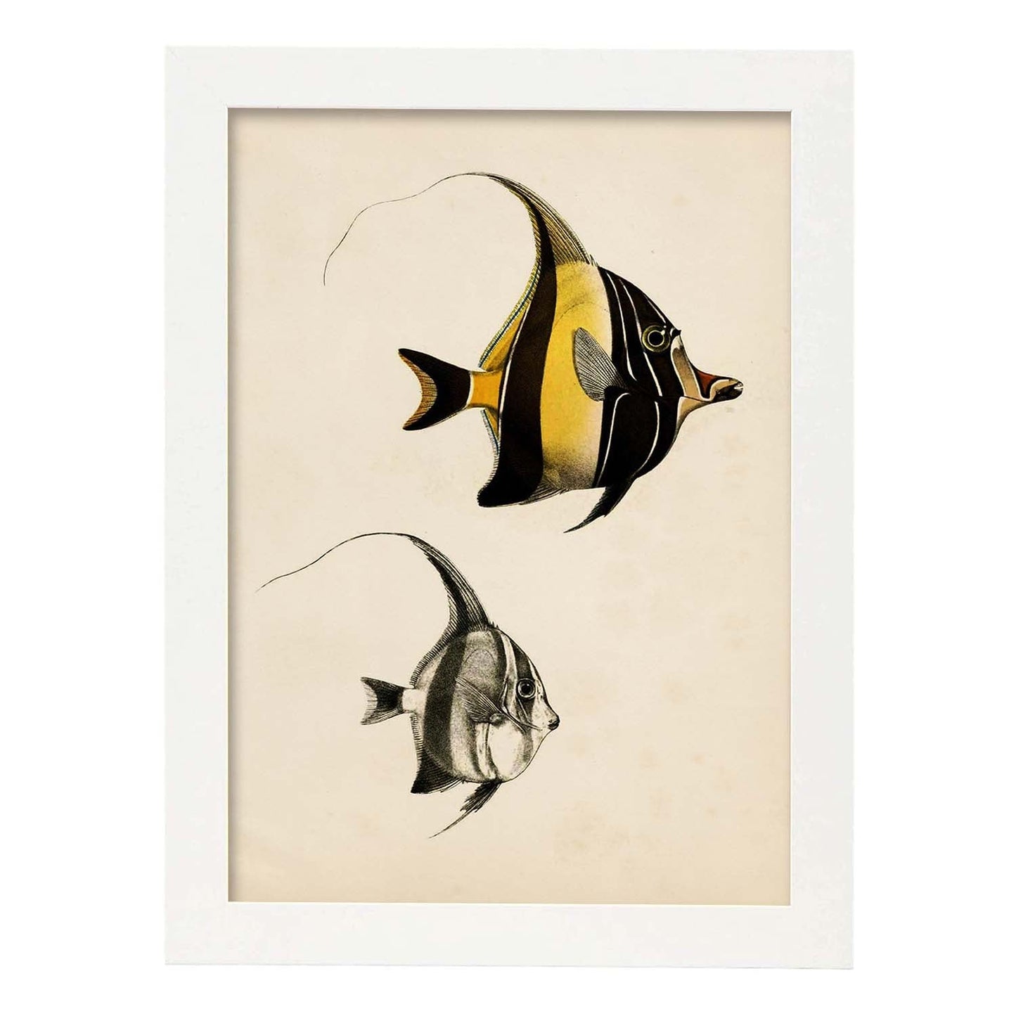 Lámina de dos peces amarillo y negro en , fondo papel vintage.-Artwork-Nacnic-A3-Marco Blanco-Nacnic Estudio SL