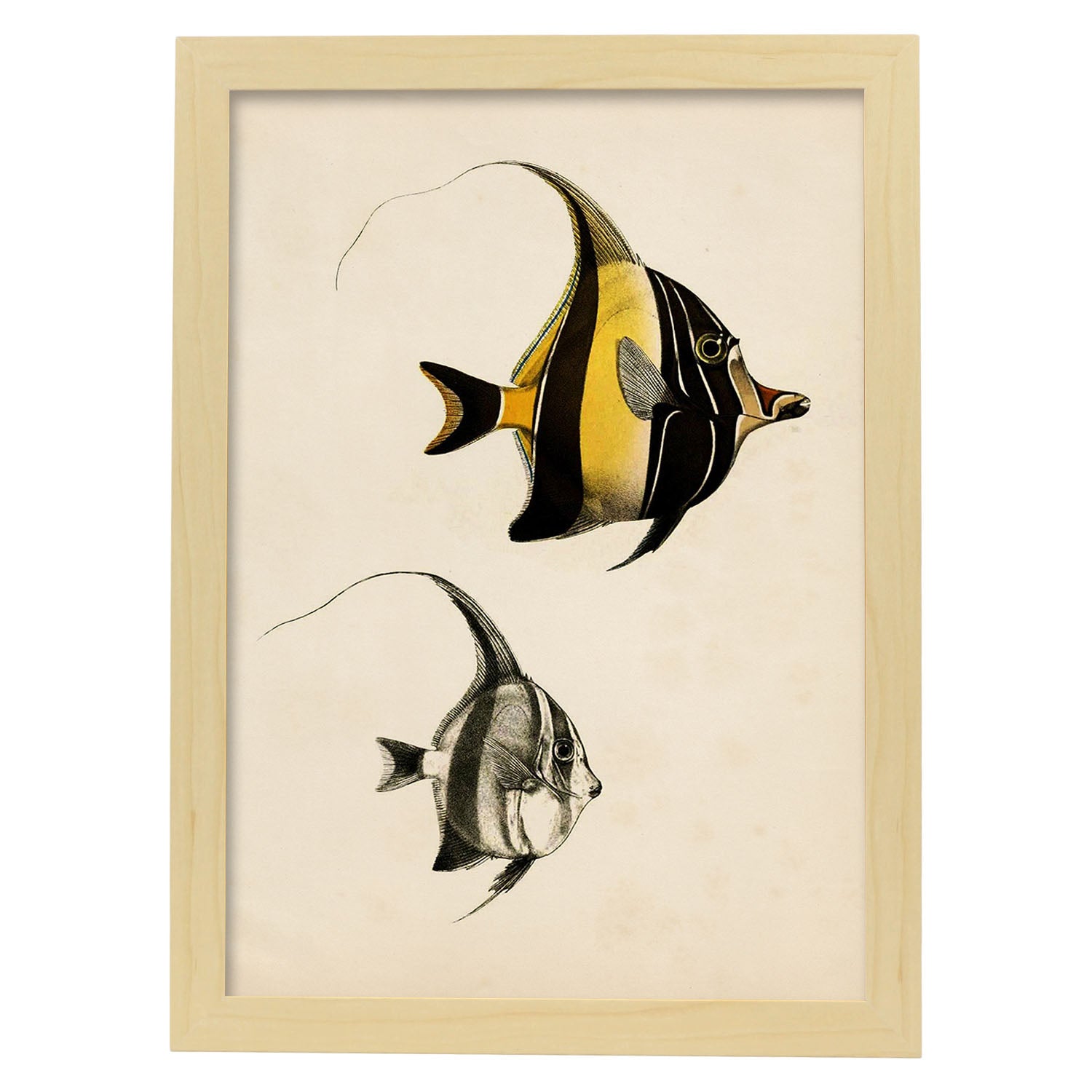 Lámina de dos peces amarillo y negro en , fondo papel vintage.-Artwork-Nacnic-A3-Marco Madera clara-Nacnic Estudio SL