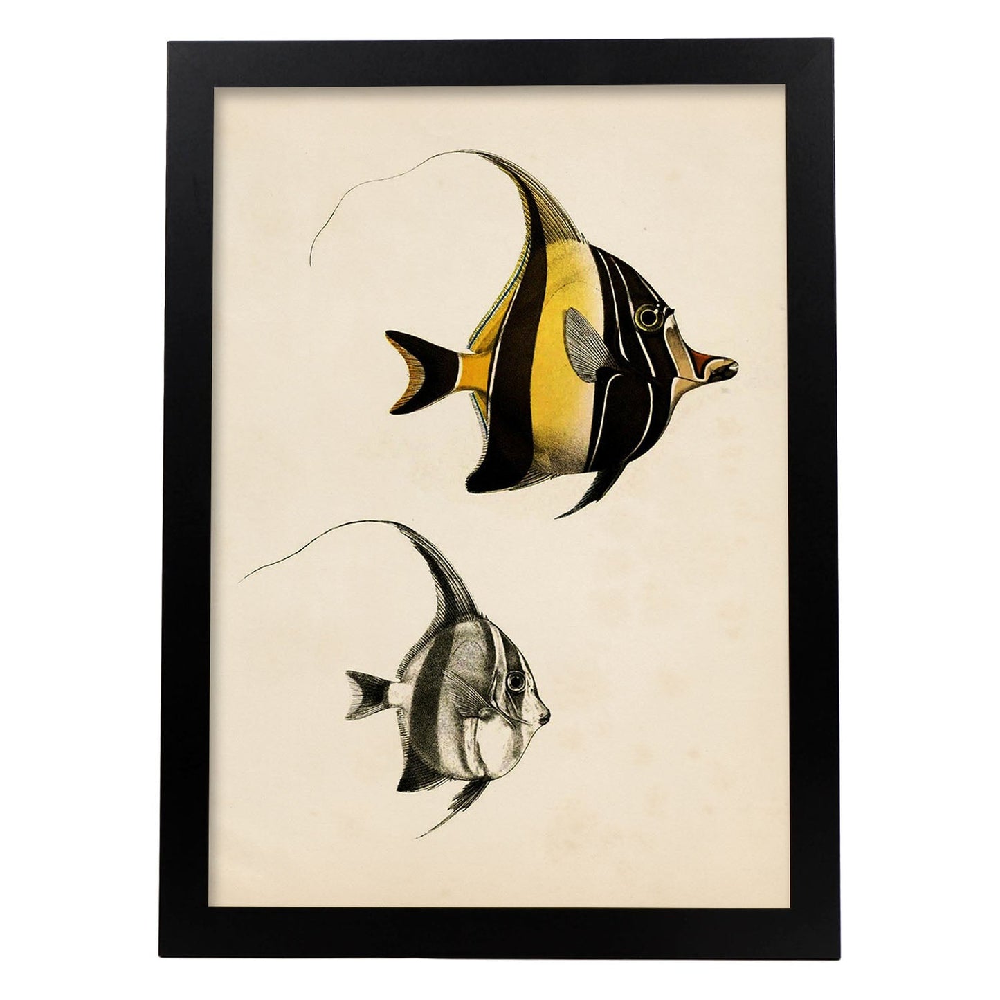 Lámina de dos peces amarillo y negro en , fondo papel vintage.-Artwork-Nacnic-A3-Marco Negro-Nacnic Estudio SL