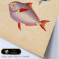Lámina de Dos Peces Azul, Amarillo y Morado y Rojo en , Fondo Papel Vintage Poster Papel 250 gr Marco-Artwork-Nacnic-Nacnic Estudio SL