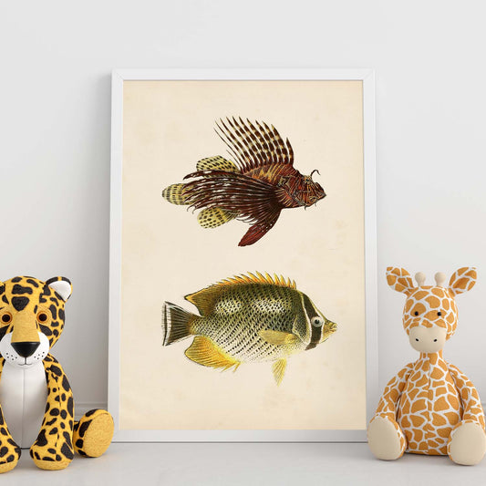 Lámina de dos peces marron, amarillo y verde en , fondo papel vintage.-Artwork-Nacnic-Nacnic Estudio SL