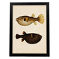 Lámina de dos peces marron, naranja, negro y amarillo en , fondo papel vintage.-Artwork-Nacnic-A4-Marco Negro-Nacnic Estudio SL