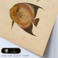 Lámina de dos peces marron y naranja en , fondo papel vintage.-Artwork-Nacnic-Nacnic Estudio SL
