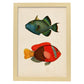 Lámina de dos peces verde azul y rojo amarillo y gris en , fondo papel vintage.-Artwork-Nacnic-A4-Marco Madera clara-Nacnic Estudio SL