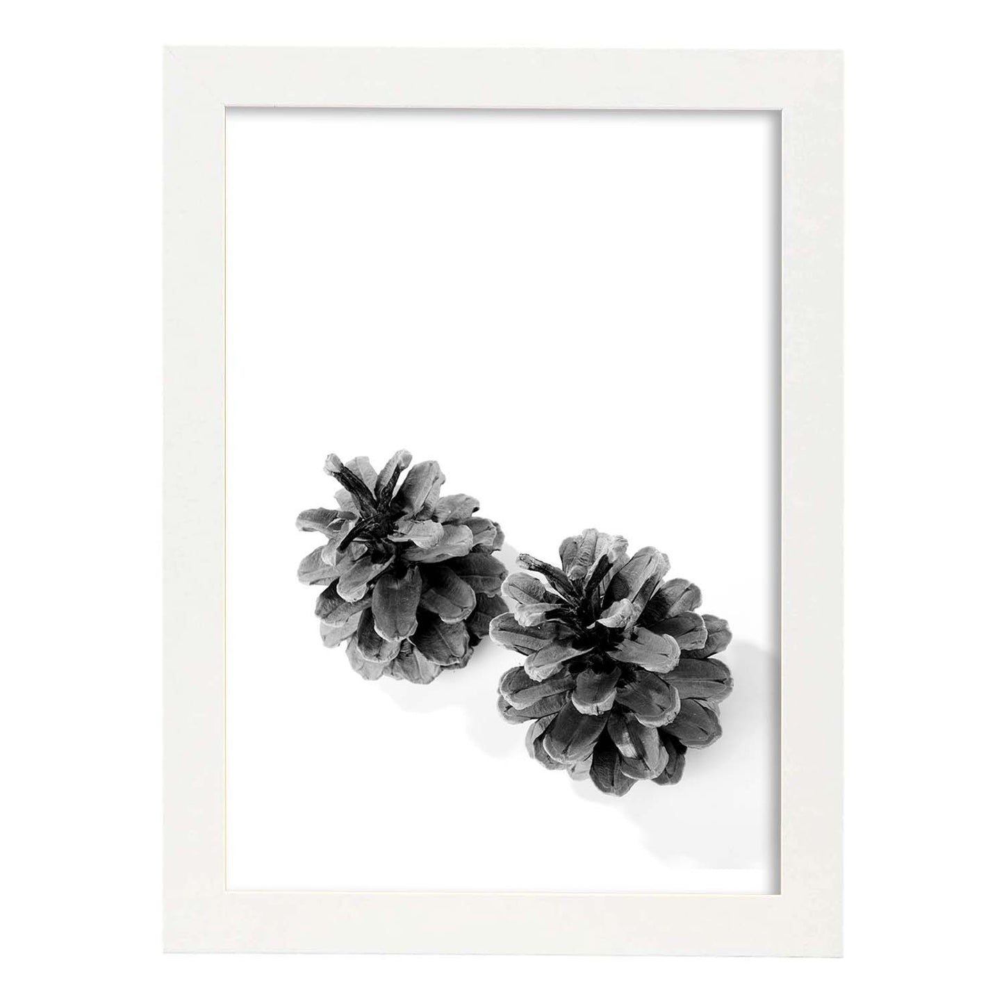 Lámina de dos piñas de pino en , en blanco y negro .-Artwork-Nacnic-A3-Marco Blanco-Nacnic Estudio SL