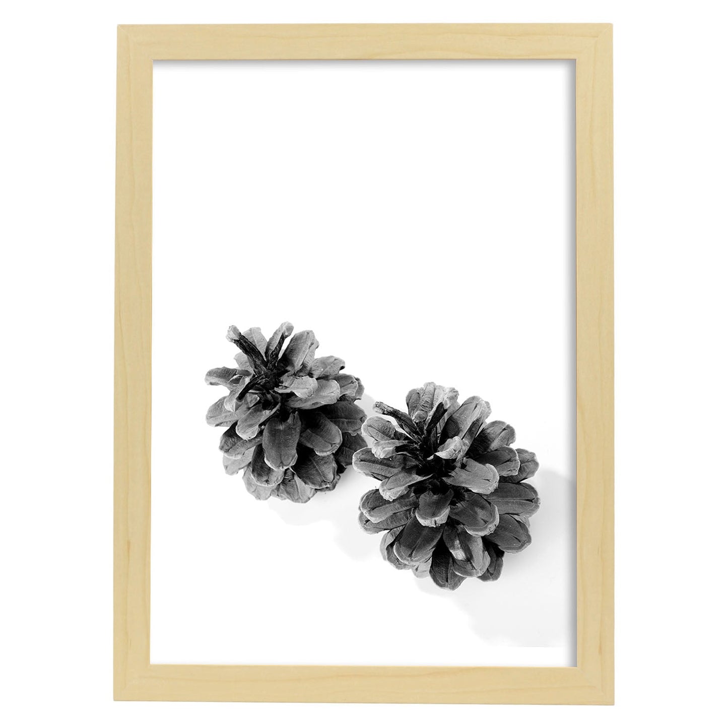 Lámina de dos piñas de pino en , en blanco y negro .-Artwork-Nacnic-A3-Marco Madera clara-Nacnic Estudio SL