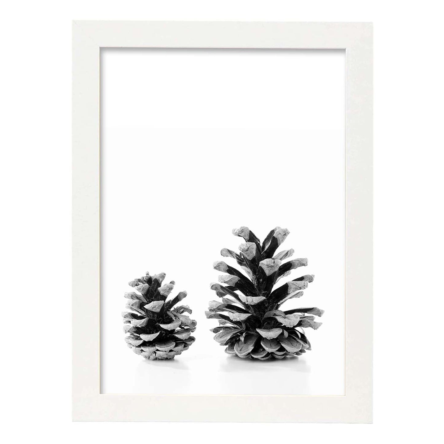 Lámina de dos piñas de pino frontal en , en blanco y negro.-Artwork-Nacnic-A4-Marco Blanco-Nacnic Estudio SL