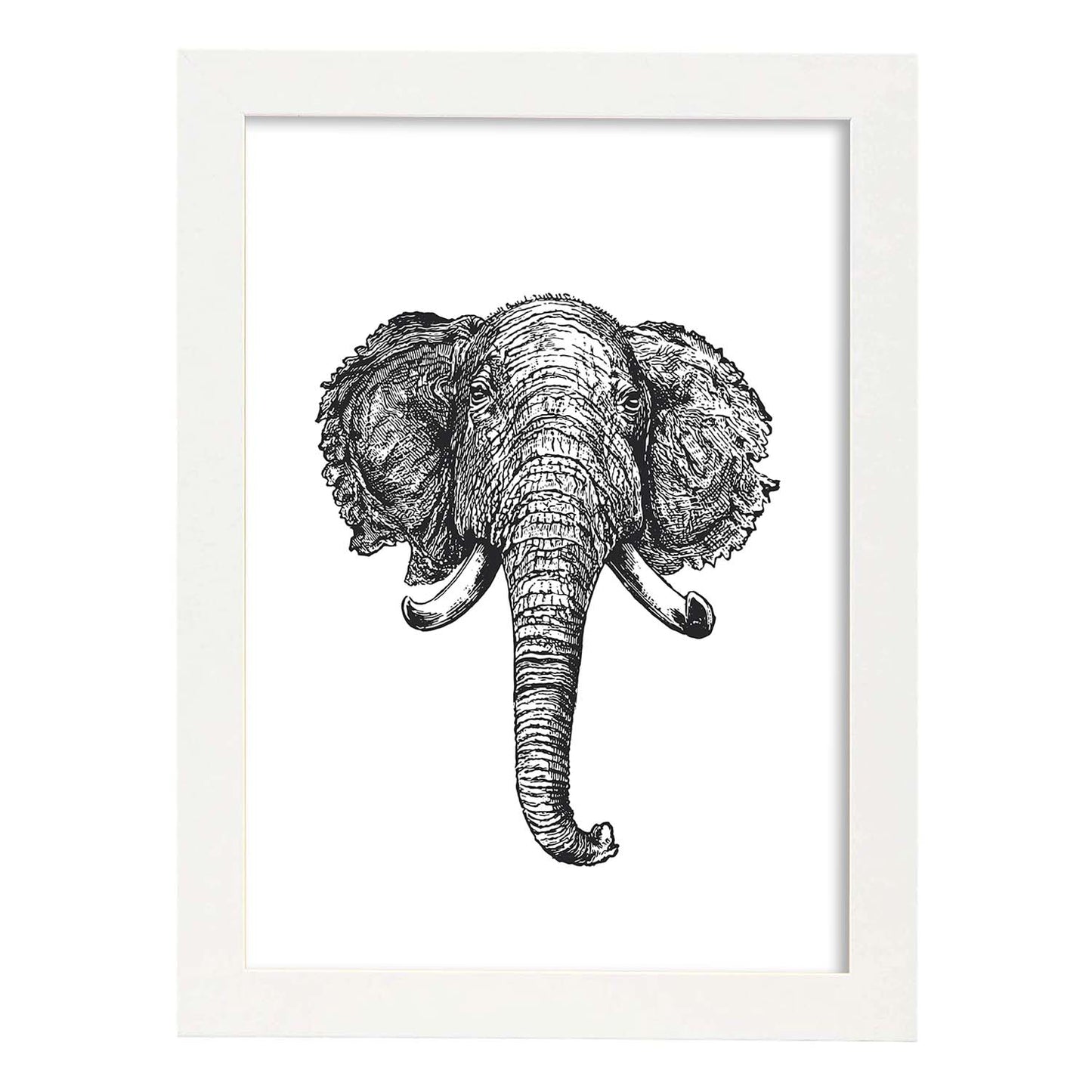Lámina de Elefante frente. Posters con animales en blanco y negro.-Artwork-Nacnic-A3-Marco Blanco-Nacnic Estudio SL