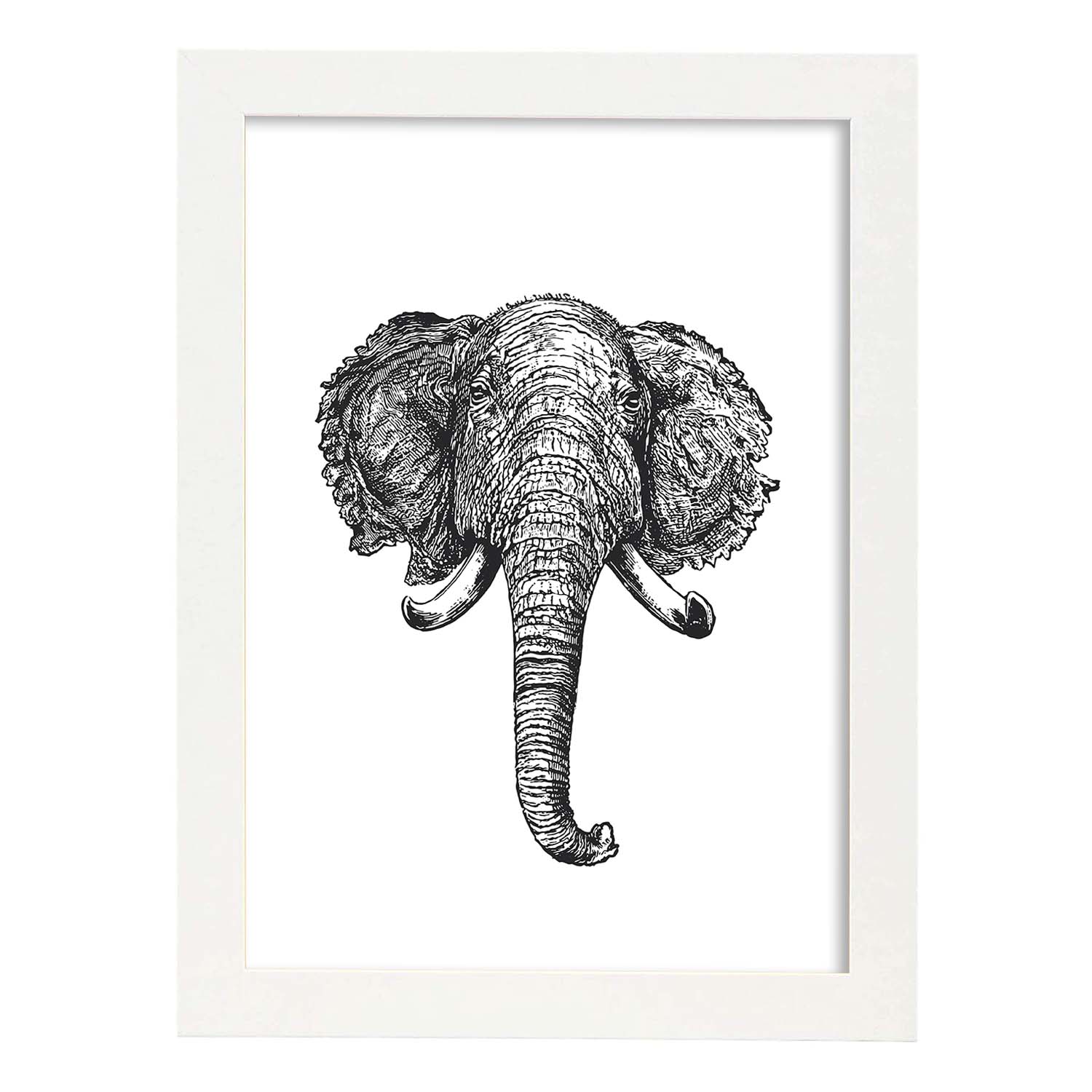 Lámina de Elefante frente. Posters con animales en blanco y negro.-Artwork-Nacnic-A4-Marco Blanco-Nacnic Estudio SL