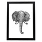 Lámina de Elefante frente. Posters con animales en blanco y negro.-Artwork-Nacnic-A4-Marco Negro-Nacnic Estudio SL