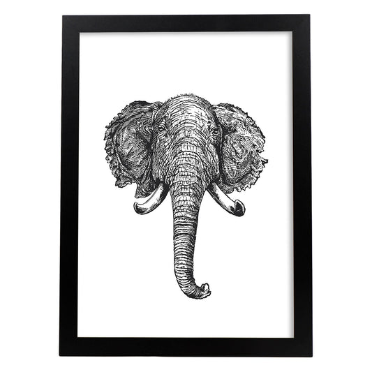 Lámina de Elefante frente. Posters con animales en blanco y negro.-Artwork-Nacnic-A4-Marco Negro-Nacnic Estudio SL