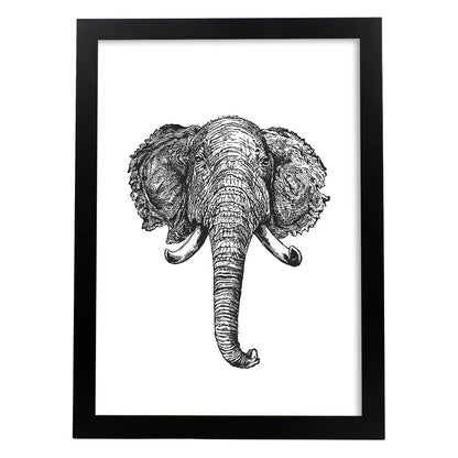 Lámina de Elefante frente. Posters con animales en blanco y negro.-Artwork-Nacnic-A4-Marco Negro-Nacnic Estudio SL