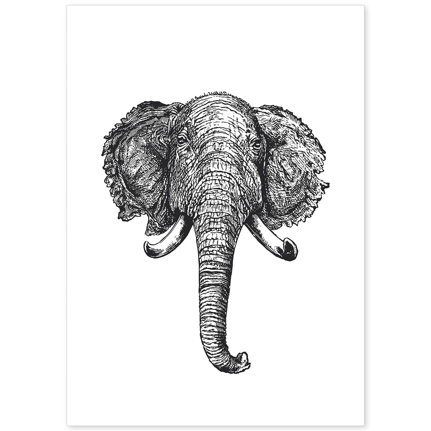 Lámina de Elefante frente. Posters con animales en blanco y negro.-Artwork-Nacnic-A4-Sin marco-Nacnic Estudio SL