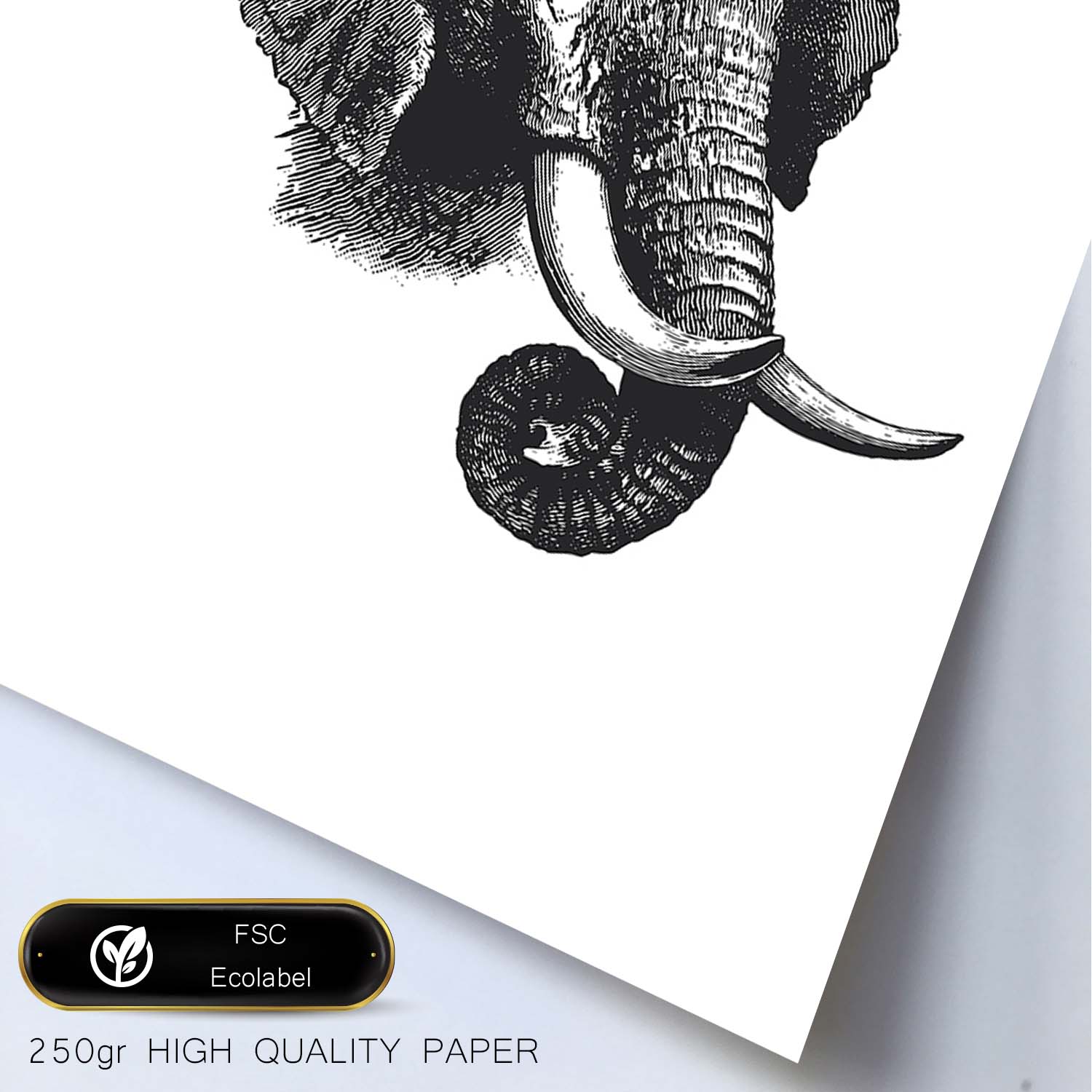 Libro negro de las horas – Elefantes de Papel