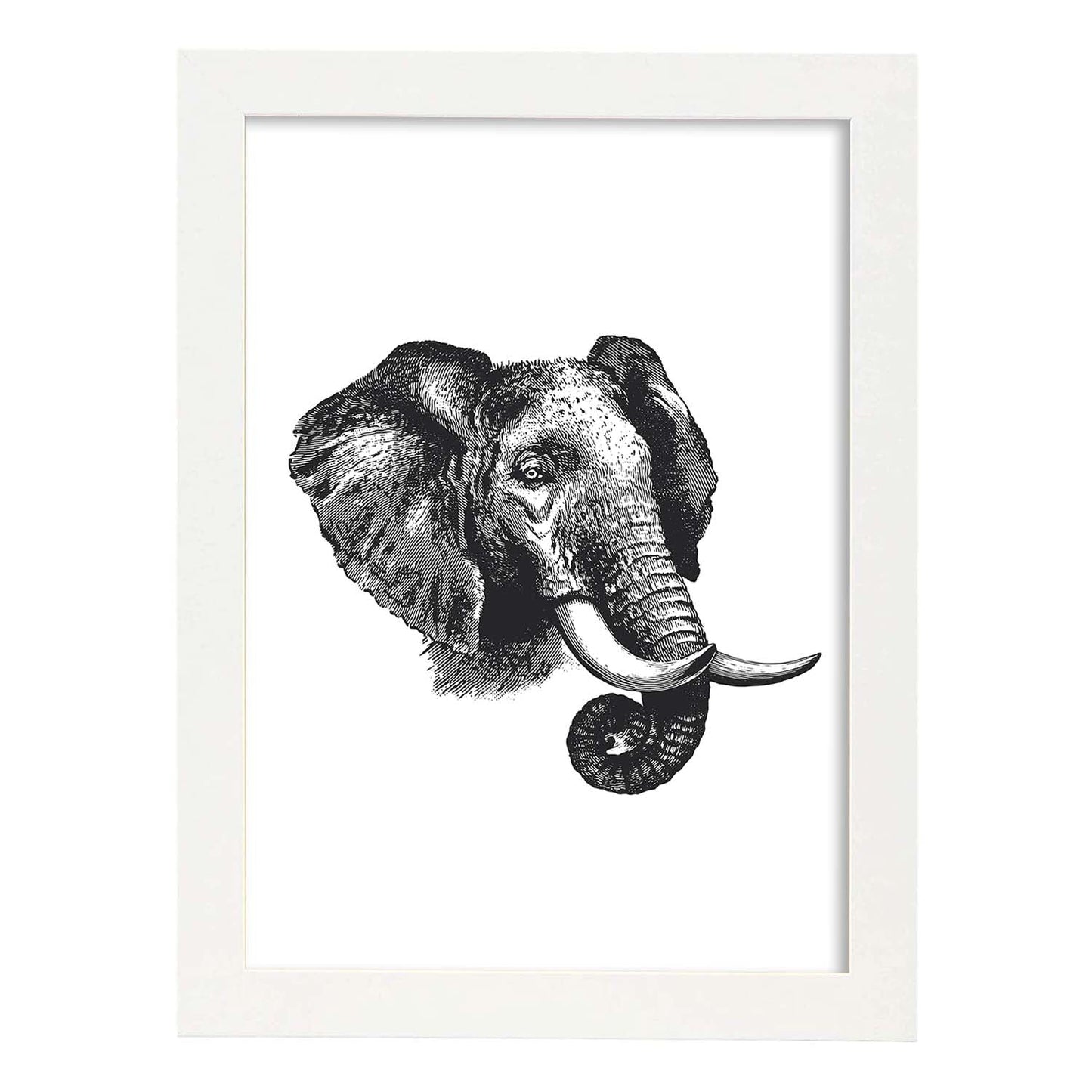 Lámina de Elefante perfil. Posters con animales en blanco y negro.-Artwork-Nacnic-A3-Marco Blanco-Nacnic Estudio SL
