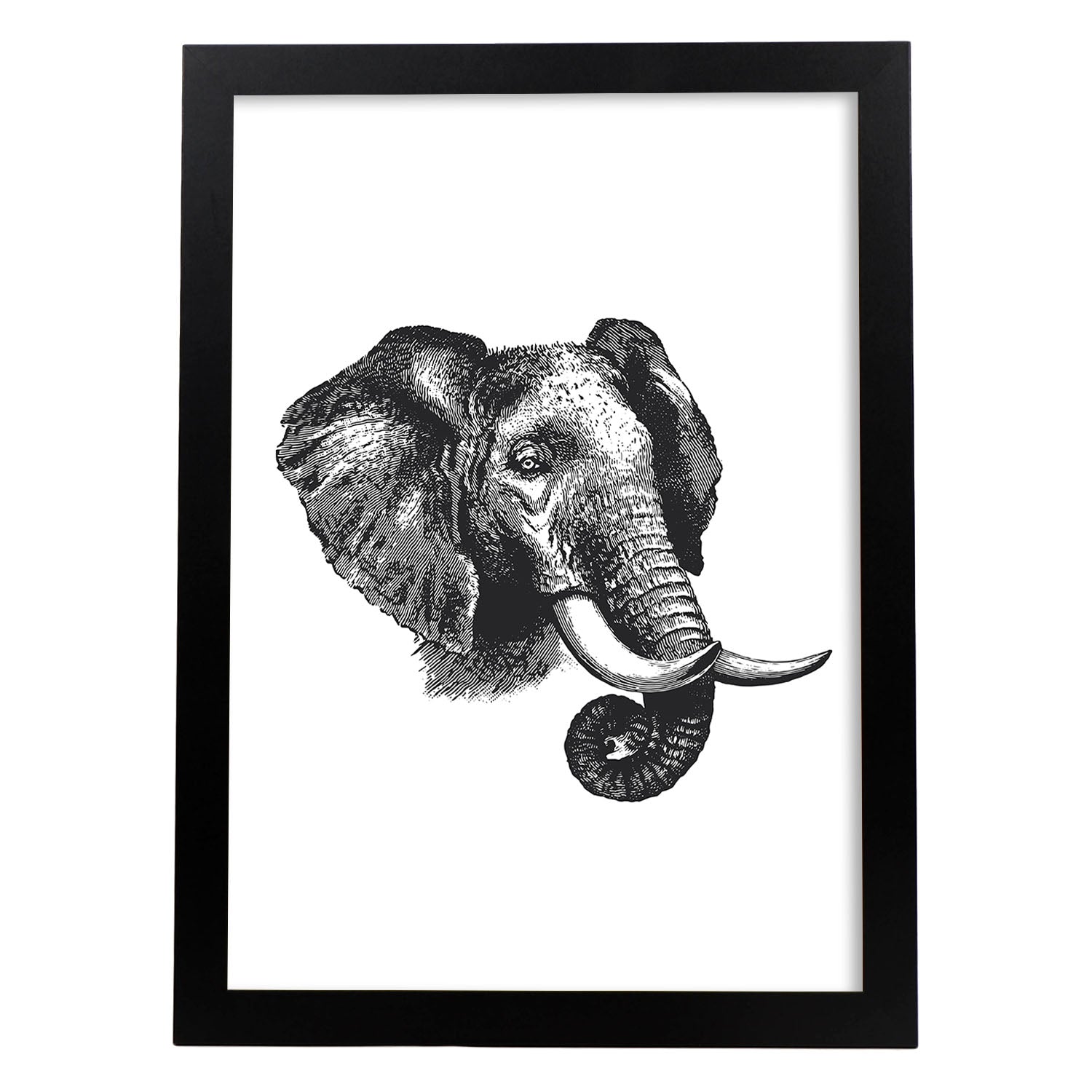 Lámina de Elefante perfil. Posters con animales en blanco y negro.-Artwork-Nacnic-A3-Marco Negro-Nacnic Estudio SL