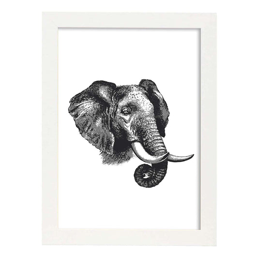 Lámina de Elefante perfil. Posters con animales en blanco y negro.-Artwork-Nacnic-A4-Marco Blanco-Nacnic Estudio SL