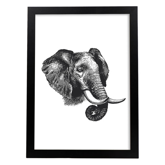 Lámina de Elefante perfil. Posters con animales en blanco y negro.-Artwork-Nacnic-A4-Marco Negro-Nacnic Estudio SL
