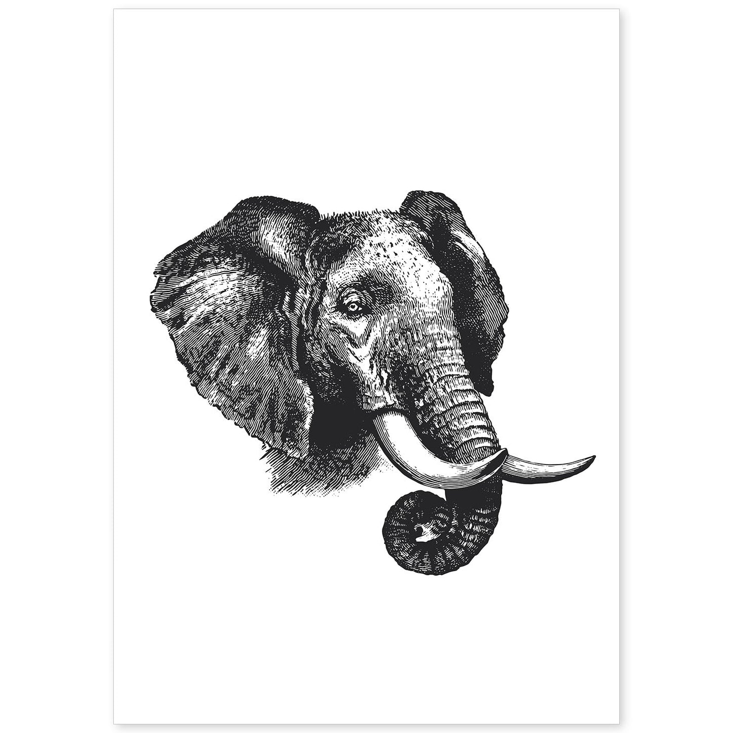 Lámina de Elefante perfil. Posters con animales en blanco y negro.-Artwork-Nacnic-A4-Sin marco-Nacnic Estudio SL