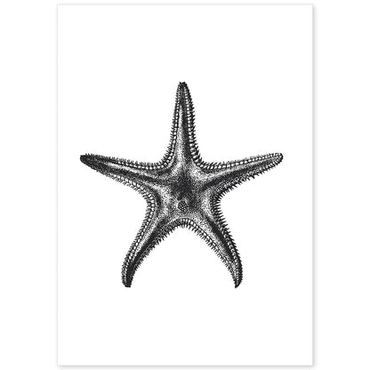 Lámina de Estrella de mar. Posters con animales en blanco y negro.-Artwork-Nacnic-A4-Sin marco-Nacnic Estudio SL