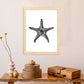 Lámina de Estrella de mar. Posters con animales en blanco y negro.-Artwork-Nacnic-Nacnic Estudio SL